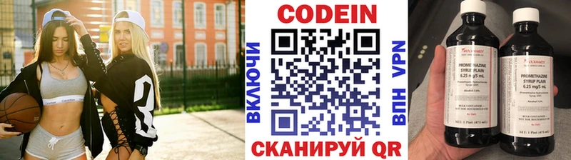 Кодеин напиток Lean (лин)  где купить наркотик  Хилок 