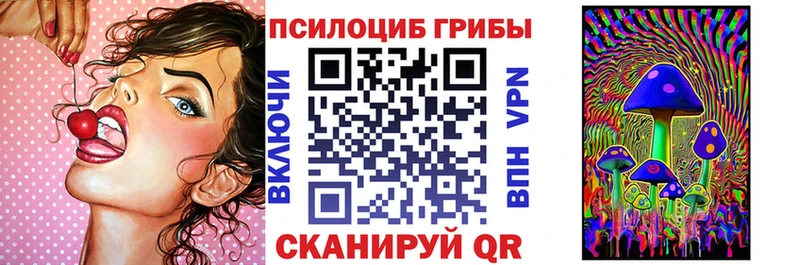 Галлюциногенные грибы Psilocybine cubensis МЕГА ССЫЛКА Хилок цены